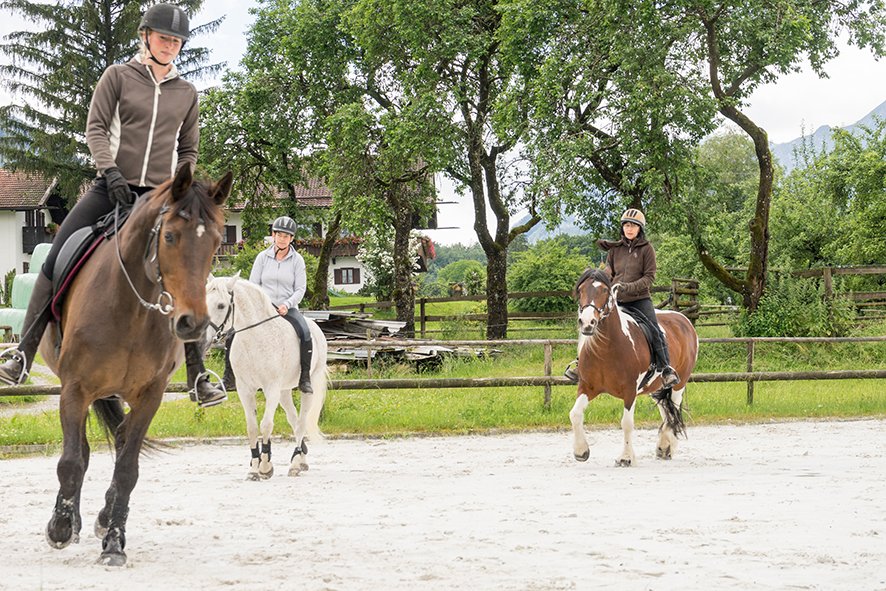 Bild9